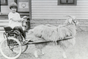 Doris Brollier (Greenacre) in buggy with goat