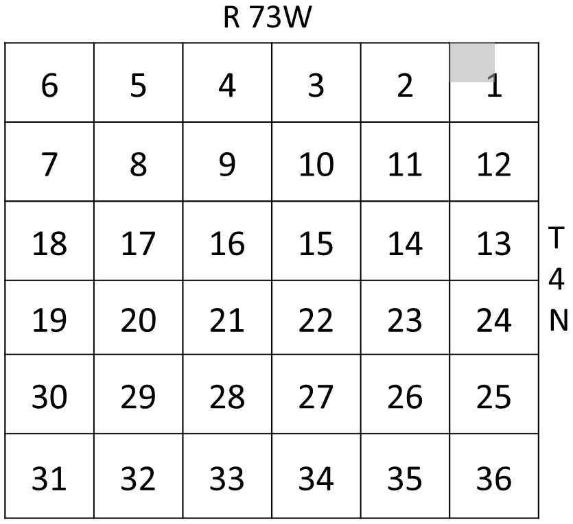 Parcel grid