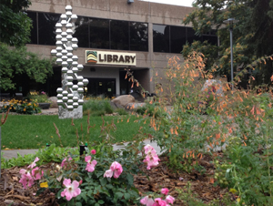 Old Town Library